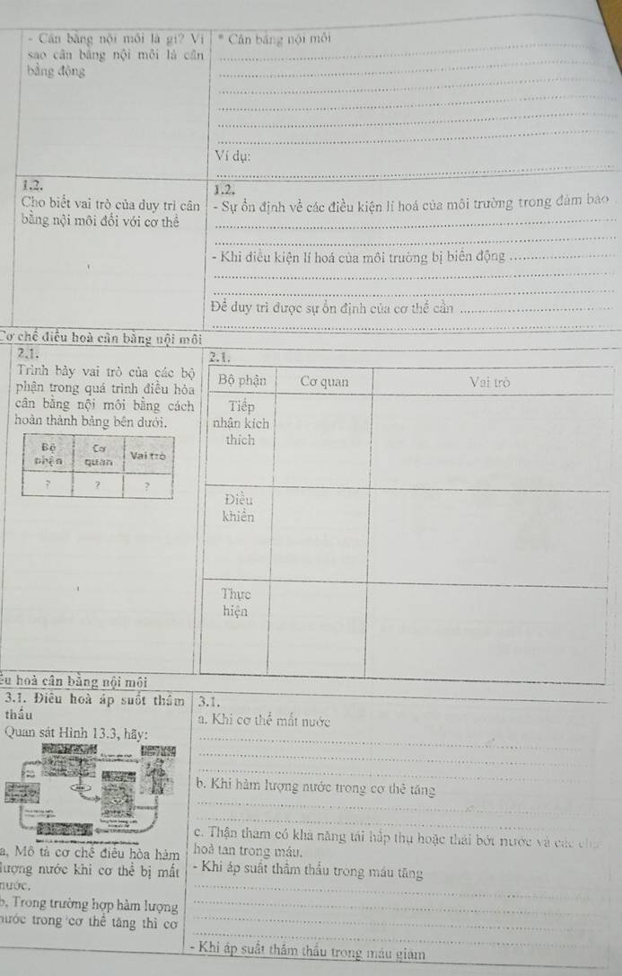 Cân bằng nội môi là gi? Vị Cân bảng nội môi 
sao cân bāng nội měi là cān 
_ 
_ 
bằng động 
_ 
_ 
_ 
_ 
_ 
Ví dụ: 
1.2. 1.2, 
Cho biết vai trò của đuy trì cân - Sự ổn định về các điều kiện lí hoá của môi trường trong đảm bao 
_ 
bằng nội môi đổi với cơ thể_ 
_ 
- Khi điều kiện lí hoá của môi trường bị biên động_ 
_ 
_ 
Để duy trì được sự ổn định của cơ thể cần_ 
Cơ chế điều hoà cân bằng nội môi 
_ 
2.1. 
Trình bày vai trò của các 
phận trong quá trình điều h 
cân bằng nội môi bằng cá 
hoàn thành bảng bên dưới. 
êu hoà cân bằng nội môi 
3.1. Điều hoà áp suốt thầm 3.1, 
_ 
thầu mất nước 
a. Khi cơ the 
Quan sát Hình 13.3, hãy:_ 
_ 

_ 
_ 
b. Khi hàm lượng nước trong cơ thẻ tăng 
_ 
_ 
c. Thận tham có khả năng tái hấp thụ hoặc thái bớt nước và các cha 
a. Mô tả cơ chế điều hòa hám hoà tan trong máu. 
_ 
lượng nước khi cơ thể bị mắt - Khi áp suất thầm thầu trong máu tăng 
nước. 
b, Trong trường hợp hàm lượng_ 
_ 
trớc trong cơ thể tăng thì cơ_ 
_ 
- Khi áp suất thầm thầu trong màu giam_
