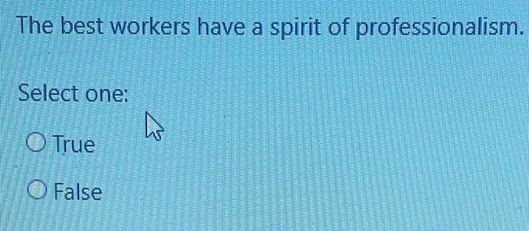 The best workers have a spirit of professionalism.
Select one:
True
False