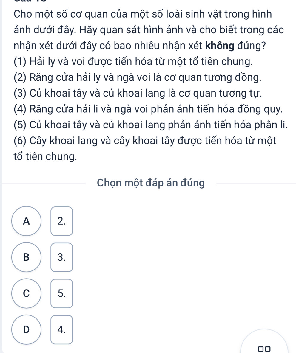 Cho một số cơ quan của một số loài sinh vật trong hình
ảnh dưới đây. Hãy quan sát hình ảnh và cho biết trong các
nhận xét dưới đây có bao nhiêu nhận xét không đúng?
(1) Hải ly và voi được tiến hóa từ một tổ tiên chung.
(2) Răng cửa hải ly và ngà voi là cơ quan tương đồng.
(3) Củ khoai tây và củ khoai lang là cơ quan tương tự.
(4) Răng cửa hải li và ngà voi phản ánh tiến hóa đồng quy.
(5) Củ khoai tây và củ khoai lang phản ánh tiến hóa phân li.
(6) Cây khoai lang và cây khoai tây được tiến hóa từ một
tổ tiên chung.
Chọn một đáp án đúng
A 2.
B 3.
C 5.
D 4.
□□