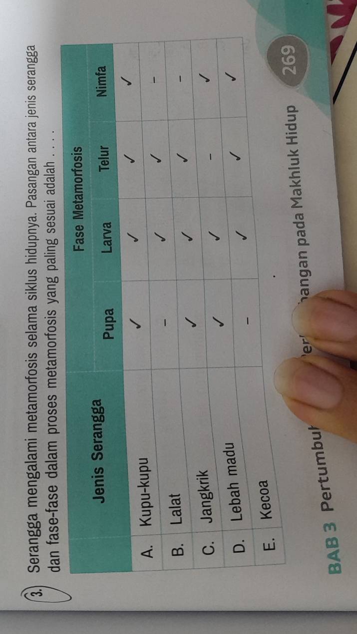 Serangga mengalami metamorfosis selama siklus hidupnya. Pasangan antara jenis serangga 
dan fase-fase dalam proses metamorfosis yang paling sesuai adalah . . . . 
e angan pada Makhluk Hidup 
BAB 3 Pertumbuł