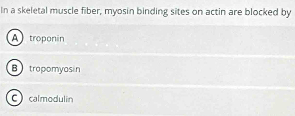 In a skeletal muscle fiber, myosin binding sites on actin are blocked by
A troponin
B tropomyosin
C calmodulin