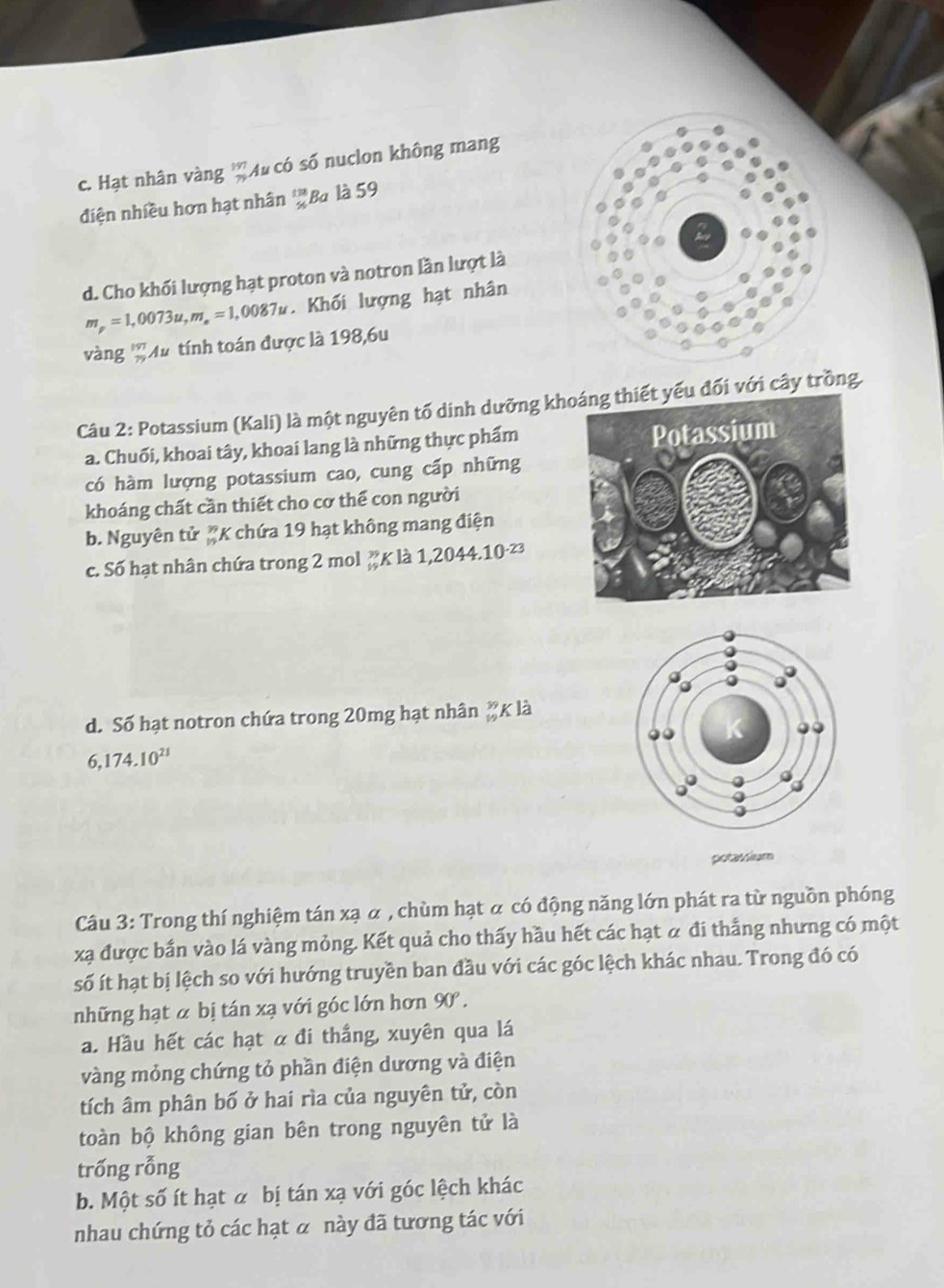 c. Hạt nhân vàng beginarrayr 997 79endarray Mu có số nuclon không mang
điện nhiều hơn hạt nhân _(%)^(138)Ba là 59
d. Cho khối lượng hạt proton và notron lần lượt là
m_p=1,0073u,m_e=1,0087u. Khối lượng hạt nhân
và ng_m^((197) Mu tính toán được là 198,6u
Câu 2: Potassium (Kali) là một nguyên tố dinh dưỡng kh yếu đối với cây trồng.
a. Chuối, khoai tây, khoai lang là những thực phẩm
có hàm lượng potassium cao, cung cấp những
khoáng chất cần thiết cho cơ thể con người
b. Nguyên tử #K chứa 19 hạt không mang điện
c. Số hạt nhân chứa trong 2 mol ZK ldot a)1,2044.10^(-23)
d. Số hạt notron chứa trong 20mg hạt nhân * 1a
6,174.10^(21)
Câu 3: Trong thí nghiệm tán xạ α , chùm hạt α có động năng lớn phát ra từ nguồn phóng
xạ được bắn vào lá vàng mỏng. Kết quả cho thấy hầu hết các hạt α đi thắng nhưng có một
số ít hạt bị lệch so với hướng truyền ban đầu với các góc lệch khác nhau. Trong đó có
những hạt α bị tán xạ với góc lớn hơn 90°.
a. Hầu hết các hạt α đi thắng, xuyên qua lá
vàng mỏng chứng tỏ phần điện dương và điện
tích âm phân bố ở hai rìa của nguyên tử, còn
toàn bộ không gian bên trong nguyên tử là
trống rỗng
b. Một số ít hạt α bị tán xạ với góc lệch khác
nhau chứng tỏ các hạt α này đã tương tác với