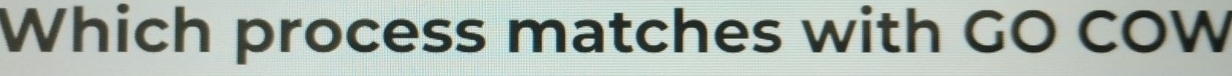 Which process matches with GO COW