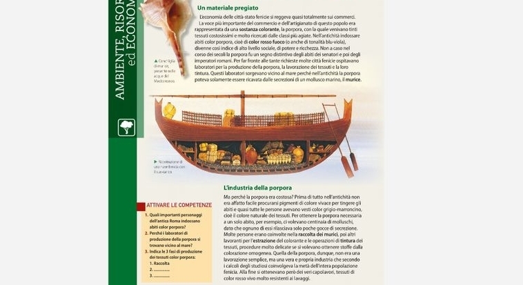 Un materiale pregiato
L'economia delle città-stato fenicie si reggeva quasi totalmente sui commero.
La voce piú importante del commercio e dellartigianato di questo popolo era
rappresentata da una sostanza colorante, la porpora, con la quale venivano tinti
tessuti costosissimi e molto ricercati dalle classi più agiate. Nelfantichità indossare
abiti color porpora, cioé di color rosso fuoco (o anche di tonalità blu-viola),
divenne cosi indice di alto livello sociale, di potere e ricchezza. Non a caso nel
corso dei secoli la porpora fu un segno distintivo degli abiti dei senatori e poi degli
 CaaC3 imneratori romani. Per far fronte alle tante richieste molte città fenicie ospitavano
gee r to nolle G ea re laboratori per la produzione della porpora, la lavorazione dei tessuti e la loro
tintura. Questi laboratori sorgevano vicino al mare perché nell'antichità la porpora
Mechno poteva solamente essere ricavata dalle secrezioni di un mollusco marino, il murice.
L'industria della porpora
Ma perché la porpora era costosa? Prima di tutto nell'antichità non
era affatto facile procurarsi pigmenti di colore vivace per tingere gli
ATTIVARE LE COMPETENZE abitie quasi tutte le persone avevano vesti collor grigio-marroncino,
cioé il colore naturale dei tessuti. Per ottenere la porpora necessaria
1. Quali importanti personaggi dellantica Roma indostano a un solo abito, per esempio, ci volevano centinaia di molluschi,
abiti rolor porpors? dato che ognuno di essí rilasciava solo ooche oocce di secrezione
Molte persone erano coinvolte nelía raccolita dei murici, poi altri
2. Perchó i Iaboratori di produxione della porpora si
lavoranti per l'estrazione del colorante e le operazioni di tintura del
trovaro vicino al mare? tessuti, procedure molto delicate se si volevano ottenere stoffe dalla
colorazione omogenea. Quella della porpora, dunque, non era una
3. Indica le 3 fasí di produzione del tessutí coloe porparí lavorazione semplice, ma una vera e propria industria che secondo
1. Raccolta i calcoli degli studiosi coinvolgeva la metà dell'intera popolazione
2. _fenicia. Alla fine si ottenevano però del veri capolavori, tessuti di
color rosso vivo molto resistenti al lavaggi.