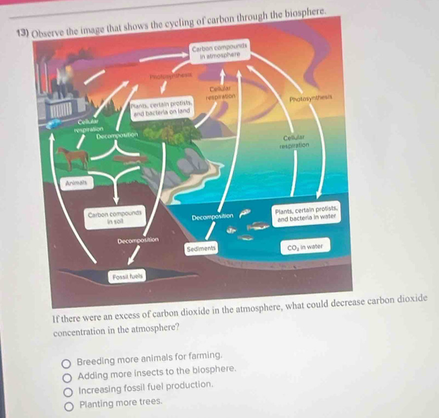 1ugh the biosphere.
If there were carbon dioxide
concentration in the atmosphere?
Breeding more animals for farming.
Adding more insects to the biosphere.
Increasing fossil fuel production.
Planting more trees.