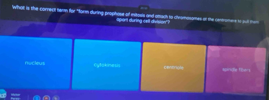 What is the correct term for "form during prophase of mitosis and attach to chromosomes at the centromere to pull them
apart during cell division"?
nucleus cytokinesis centriole spindle fibers