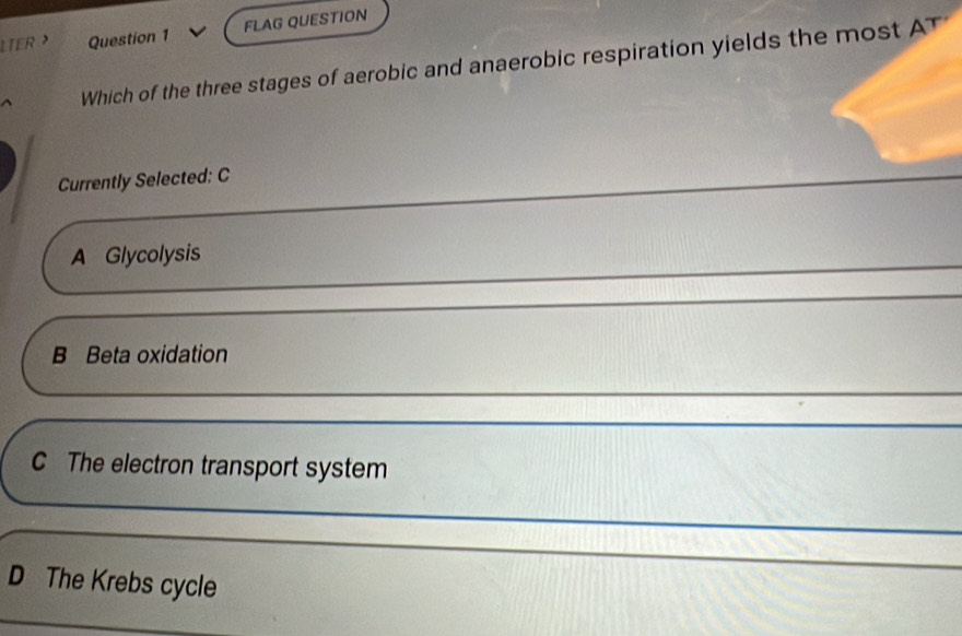 LTER > Question 1 FLAG QUESTION
Which of the three stages of aerobic and anaerobic respiration yields the most A'
Currently Selected: C
_
_
A Glycolysis
B Beta oxidation
_
_
C The electron transport system
_
_
D The Krebs cycle