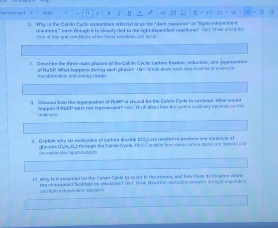 Normal text = Arial - 11 + B I U 
6. Why is the Calvin Cycle sometimes referred to as the "dark reactions" or "light-independent 
reactions," even though it is closely tied to the light-dependent reactions? Hint: Think about the 
time of day and conditions when these reactions can occur. 
7. Describe the three main phases of the Calvin Cycle: carbon fixation, reduction, and regeneration 
of RuBP. What happens during each phase? Hint: Break down each step in terms of molecule 
transformation and energy usage. 
8. Discuss how the regeneration of RuBP is crucial for the Calvin Cycle to continue. What would 
happen if RuBP were not regenerated? Hint: Think about how the cycle's continuity depends on this 
molecule. 
9. Explain why six molecules of carbon dioxide (CO_2) are needed to produce one molecule of 
glucose (C_nH_12O_n) through the Calvin Cycle. Hint: Consider how many carbon atoms are needed and 
the molecular inputs/outputs. 
10. Why is it essential for the Calvin Cycle to occur in the stroma, and how does its location within 
the chloroplast facilitate its reactions? Hint: Think about the interaction between the light-dependent 
and light-independent reactions.