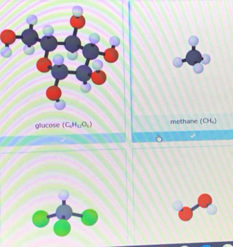 methane (CH₄)