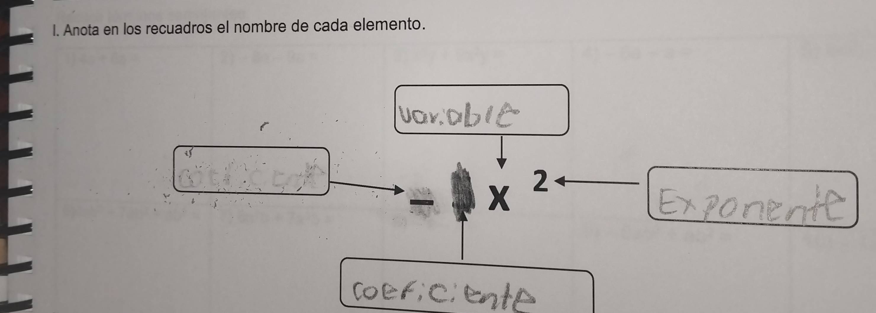 Anota en los recuadros el nombre de cada elemento.
x^2