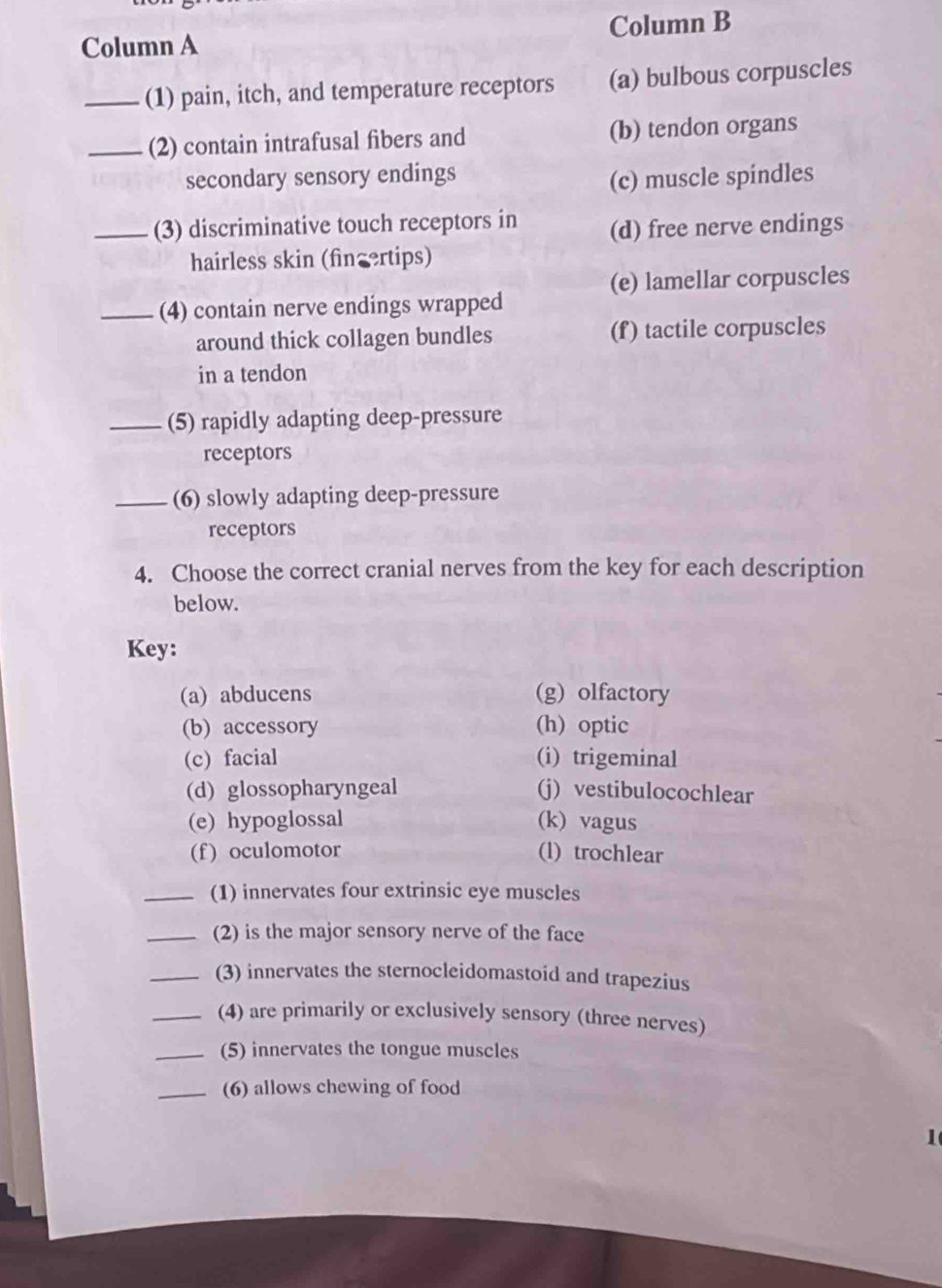 Column A Column B
_(1) pain, itch, and temperature receptors (a) bulbous corpuscles
_(2) contain intrafusal fibers and (b) tendon organs
secondary sensory endings
(c) muscle spindles
_(3) discriminative touch receptors in (d) free nerve endings
hairless skin (fincrtips)
(e) lamellar corpuscles
_(4) contain nerve endings wrapped
around thick collagen bundles (f) tactile corpuscles
in a tendon
_(5) rapidly adapting deep-pressure
receptors
_(6) slowly adapting deep-pressure
receptors
4. Choose the correct cranial nerves from the key for each description
below.
Key:
(a) abducens (g) olfactory
(b) accessory (h) optic
(c) facial (i) trigeminal
(d) glossopharyngeal (j) vestibulocochlear
(e) hypoglossal (k) vagus
(f) oculomotor (l) trochlear
_(1) innervates four extrinsic eye muscles
_(2) is the major sensory nerve of the face
_(3) innervates the sternocleidomastoid and trapezius
_(4) are primarily or exclusively sensory (three nerves)
_(5) innervates the tongue muscles
_(6) allows chewing of food
1