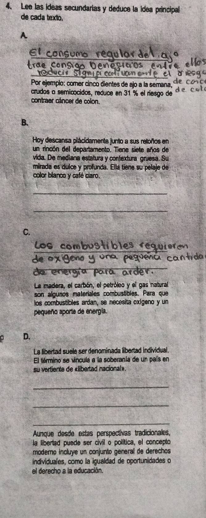 Lee las ideas secundarias y deduce la idea principal 
de cada texto. 
A. 
El consuma requl 
trãe Consiãs Denécia 
Por ejemplo: comer cinco dientes de ajo a la semana, 
crudos o semicocidos, reduce en 31 % el riesgo de 
contraer cáncer de colon. 
B. 
Hoy descansa plácidamente junto a sus retoños en 
un rincón del departamento. Tiene siete años de 
vida. De mediana estatura y contextura gruesa. Su 
mirada es dulce y profunda. Ella tiene su pelaje de 
color blanco y café ciaro. 
_ 
_ 
C. 
de 
La madera, el carbón, el petróleo y el gas natural 
son alguños materiales combustibles. Para que 
los combustibles ardan, se necesita oxígeno y un 
pequeño aporte de energía. 
D. 
La libertad suele ser denominada libertad individual. 
El término se vincula a la soberanía de un país en 
su vertiente de «libertad nacional». 
_ 
_ 
_ 
Aunque desde estas perspectivas tradicionales, 
la libertad puede ser civil o política, el concepto 
moderno incluye un conjunto general de derechos 
individuales, como la igualdad de oportunidades o 
el derecho a la educación.