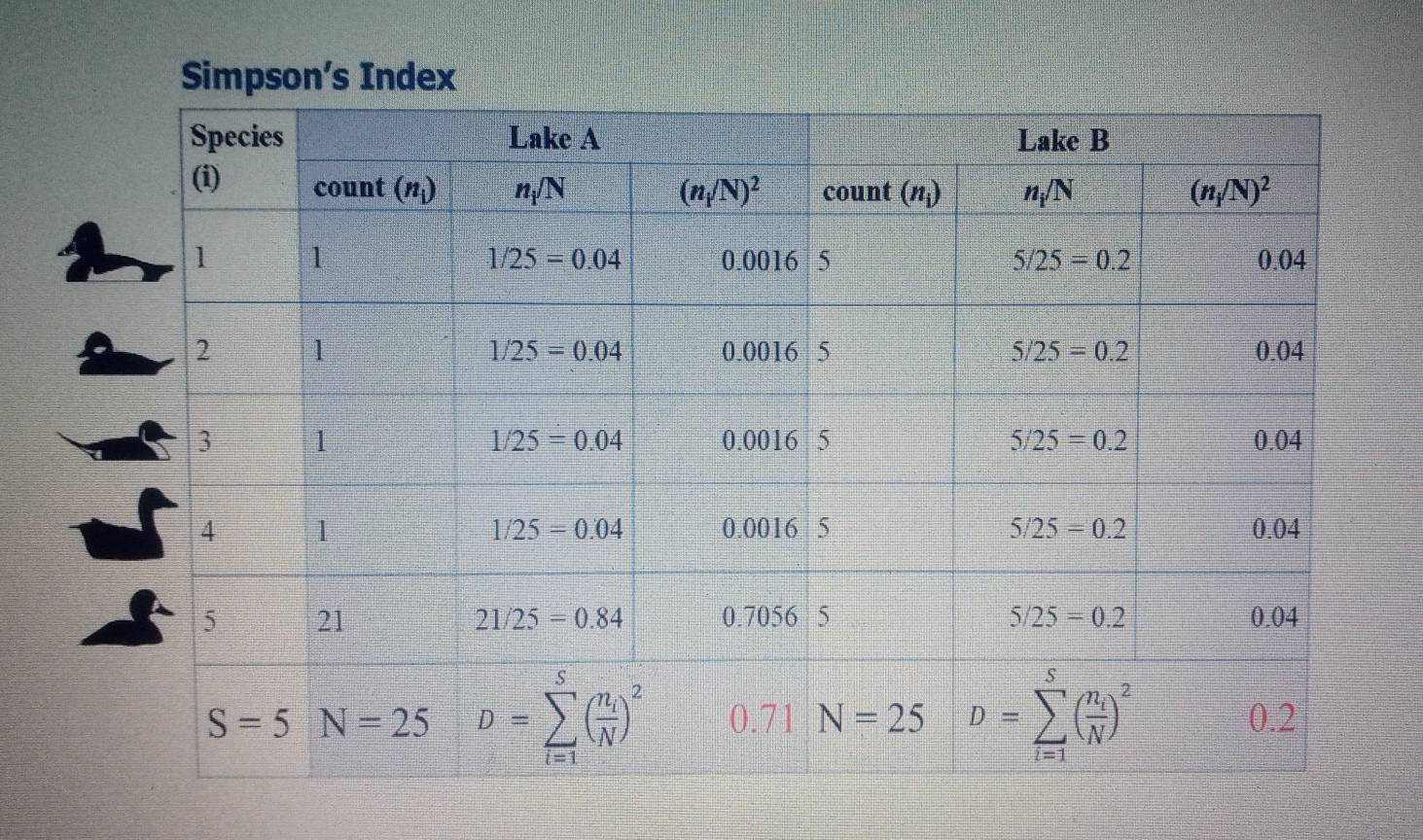 Simpson’s Index