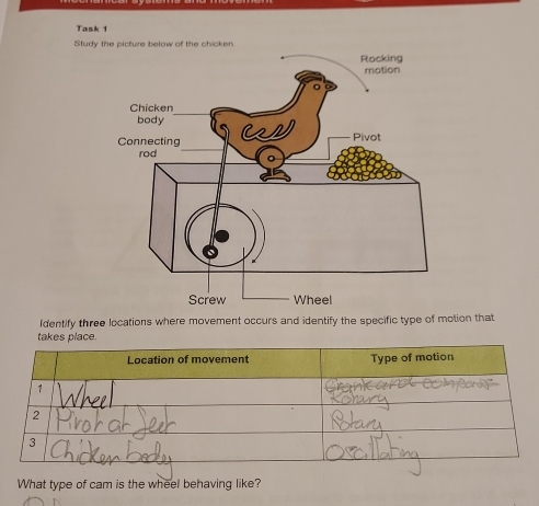 Solved: Task 1 Study the picture below of the chicken. Identify three ...
