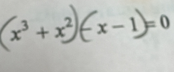 x³ + x² -x-1 =0