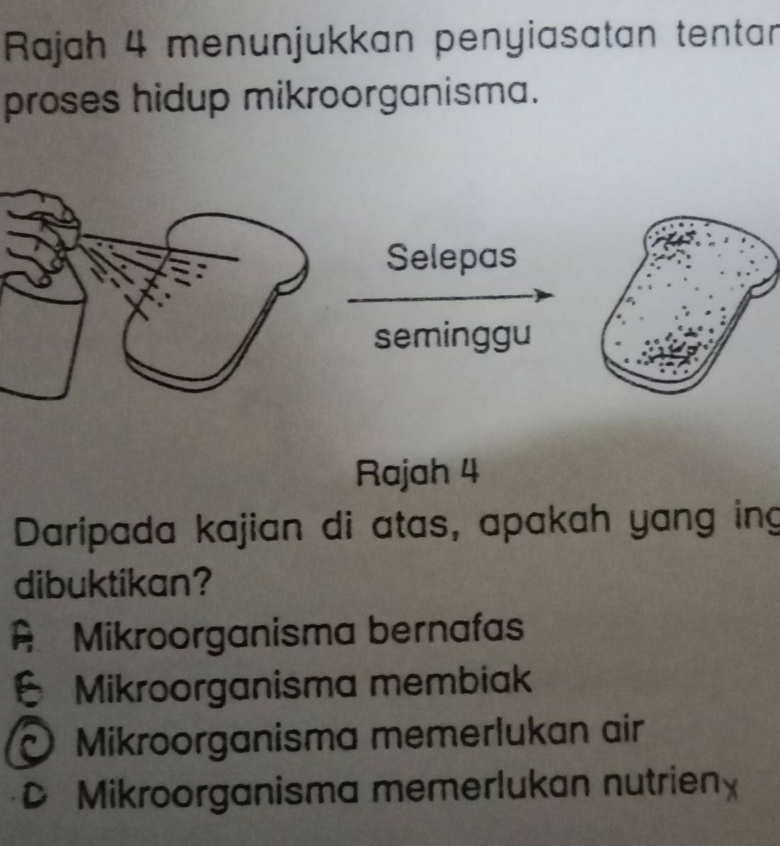 Rajah 4 menunjukkan penyiasatan tentan
proses hidup mikroorganisma.
Selepas
seminggu
Rajah 4
Daripada kajian di atas, apakah yang ing
dibuktikan?
= Mikroorganisma bernafas
Mikroorganisma membiak
Mikroorganisma memerlukan air
D Mikroorganisma memerlukan nutrien