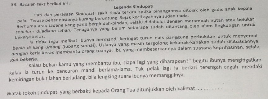 Bacalah teks berikut ini ! 
Legenda Sindupati 
Hati dan perasaan Sindupati sakit tiada terkira ketika pinangannya ditolak oleh gadis anak kepala 
balaı. Terasa benar nasibnya kurang beruntung. Sejak kecil ayahnya sudah tiada. 
Berhuma atau ladang yang yang berpindah-pindah, selalu didahului dengan merambah hutan atau belukar 
sebelum dijadikan lahan. Tenaganya yang belum seberapa sudah ditantang oleh alam lingkungan untuk 
bekerja keras. 
la tidak tega melihat ibunya bermandi keringat turun naik panggung perbukitan untuk menyemai 
benih di liang umang (lubang semai). Usianya yang masih tergolong kekanak-kanakan sudah dilibatkannya 
dengan kerja keras membantu orang tuanya. Ibu yang membesarkannya dalam suasana keprihatinan, selalu 
giat bekerja. 
"Kalau bukan kamu yang membantu ibu, siapa lagi yang diharapkan?" begitu ibunya mengingatkan 
kalau ia turun ke pancuran mandi berlama-lama. Tak pelak lagi ia berlari terengah-engah mendaki 
kemiringan bukit lahan berladang, bila lengking suara ibunya memanggilnya. 
Watak tokoh sindupati yang berbakti kepada Orang Tua ditunjukkan oleh kalimat_