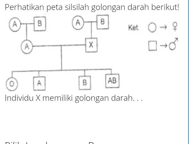 Perhatikan peta silsilah golongan darah berikut! 
Ket: _ Q 
sigma 
Individu X memiliki golongan darah. . .