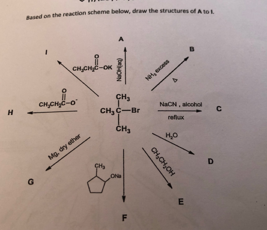 Based on the reaction scheme below, draw the structures of A to I. 
A 
1 
B 
8 
excess
CH_3CH_2C-OK beginarrayr overline 1 overline _  overline _ endarray NH_3
CH_3
CH_3CH_2C-O^- NaCN , alcohol C 
H 
reflux
dot CH_3
Mg, dry ethe CH_3C
D r
H_2O
♀
CH_3
D
CH_2 n
ONa 
T 
G 
E
F