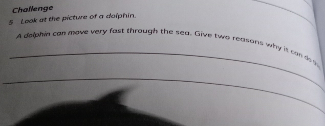 Challenge 
5 Look at the picture of a dolphin. 
_ 
_ 
A dolphin can move very fast through the sea. Give two reasons why it can do t 
_