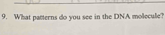 What patterns do you see in the DNA molecule?