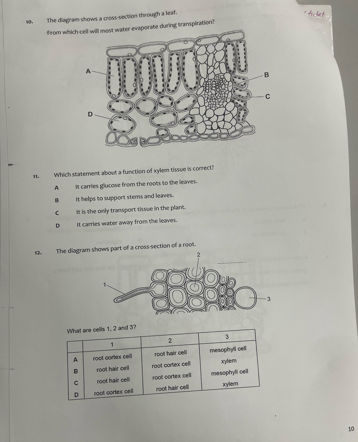 The diagram shows a cross-section through a leaf.
From whiorate during transpiration?
11. Which statement about a function of xylem tissue is correct?
A It carries glucose from the roots to the leaves.
B It helps to support stems and leaves.
C It is the only transport tissue in the plant.
D It carries water away from the leaves.
12. The diam shows part of a cross-section of a root.
What are cells 1, 2 and 3?
1
2
3
A root cortex cell root hair cell mesophyll cell
B root hair cell root cortex cell xylem
C root hair cell root cortex cell mesophyll cell
D root cortex cell root hair cell xylem
10