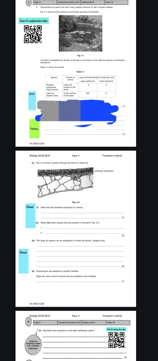Hydrophytes are plants that show many adaptive features for life in aquatic habitats 
Soan for explanation video 
nertent investigated the density of stomata on the leaves of two different species of freshwater 
Direat 
Thinking_ 
_ 
Dr.Nihal Gabr 
Biology IGCSE 0610 Paper 4 Transport in plants 
(c) Fig. 4.2 shows a section through the leaf of a water lily. 
Fig. 4.2 
Direct 
_[1] 
1 
_2 
2] 
(d) The large air spaces are an adaptation of water lily leaves. Suggest why. 
Direct 
2 
State the name used for plants that are adapted to dry habitats. 
_[1] 
Paper 4 Transport in plant