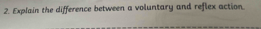 Explain the difference between a voluntary and reflex action.