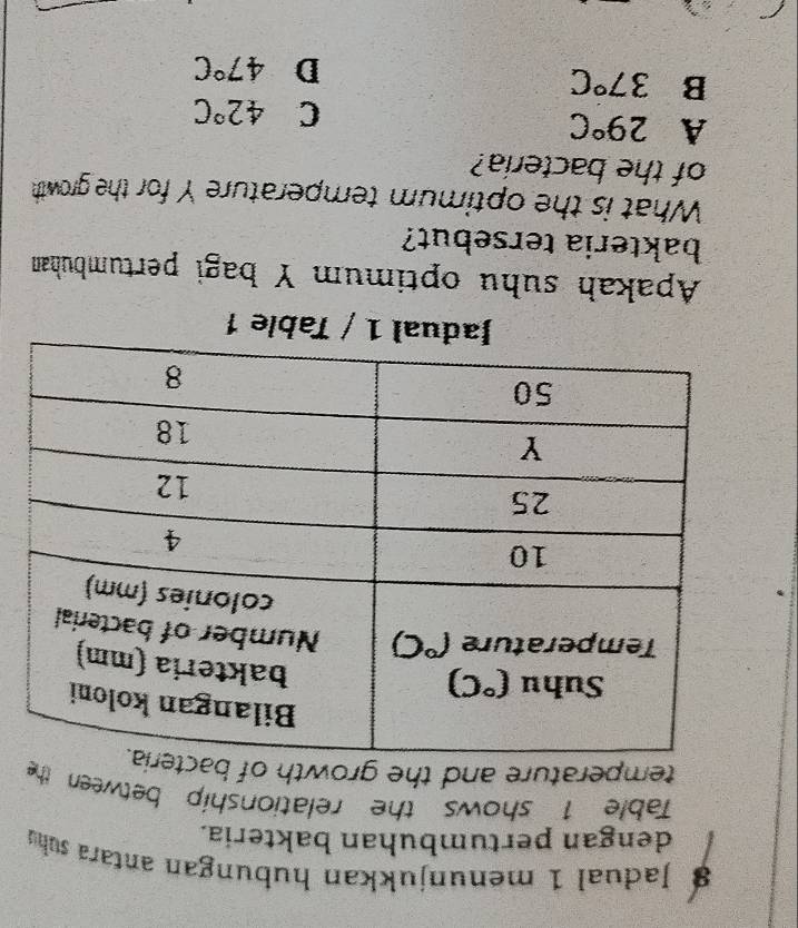 Jadual 1 menunjukkan hubungan antara suhu
dengan pertumbuhan bakteria.
Table 1 shows the relationship between the
temperature and the growth of
1 / Table 1
Apakah suhu optimum Y bagi pertumbuhan
bakteria tersebut?
What is the optimum temperature Y for the growth
of the bacteria?
A 29°C
C 42°C
B 37°C
D 47°C