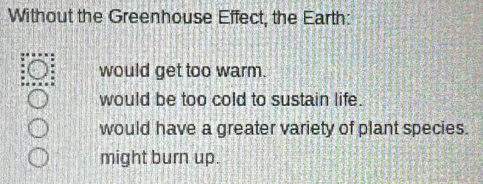 Without the Greenhouse Effect, the Earth:
would get too warm.
would be too cold to sustain life.
would have a greater variety of plant species.
might burn up.