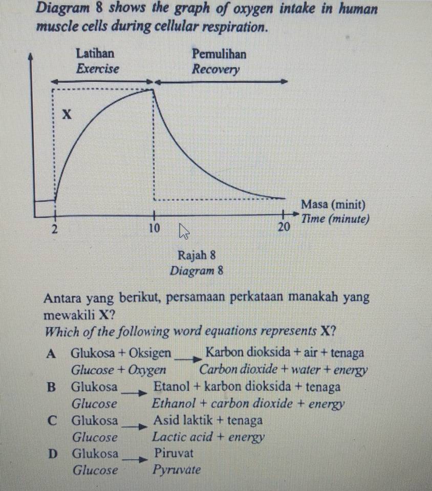 Diagram 8 shows the graph of oxygen intake in human
muscle cells during cellular respiration.
Latihan Pemulihan
Exercise Recovery
x
Masa (minit)
2
10
20 Time (minute)
Rajah 8
Diagram 8
Antara yang berikut, persamaan perkataan manakah yang
mewakili X?
Which of the following word equations represents X?
A Glukosa + Oksigen Karbon dioksida + air + tenaga
Glucose + Oxygen Carbon dioxide + water + energy
B Glukosa Etanol + karbon dioksida + tenaga
Glucose Ethanol + carbon dioxide + energy
C Glukosa Asid laktik + tenaga
Glucose Lactic acid + energy
D Glukosa Piruvat
Glucose Pyruvate