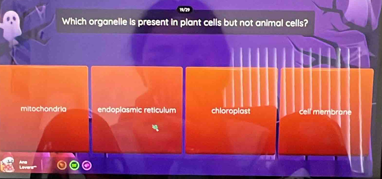 Which organelle is present in plant cells but not animal cells?
mitochondria endoplasmic reticulum chloroplast cell membrane