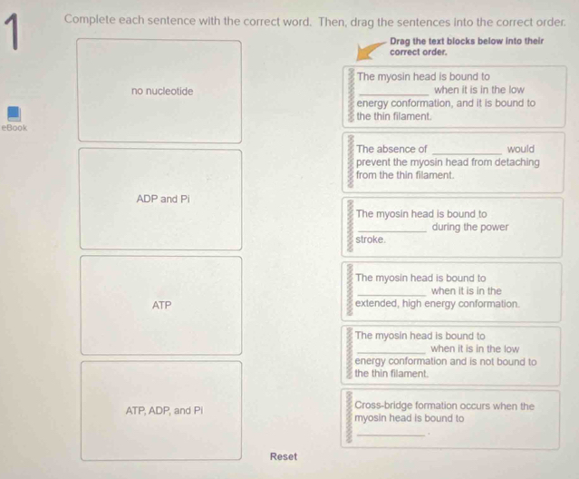 Complete each sentence with the correct word. Then, drag the sentences into the correct order. 
Drag the text blocks below into their 
correct order. 
The myosin head is bound to 
no nucleotide _when it is in the low 
energy conformation, and it is bound to 
the thin filament. 
eBook 
_ 
The absence of would 
prevent the myosin head from detaching 
from the thin filament. 
ADP and Pi 
The myosin head is bound to 
_during the power 
stroke. 
The myosin head is bound to 
_ 
when it is in the 
ATP extended, high energy conformation. 
The myosin head is bound to 
_ 
when it is in the low 
energy conformation and is not bound to 
the thin filament. 
Cross-bridge formation occurs when the 
ATP, ADP, and Pi myosin head is bound to 
_. 
Reset