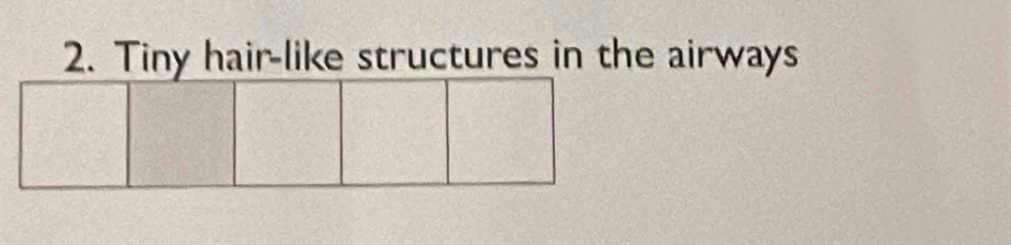 Tiny hair-like structures in the airways
