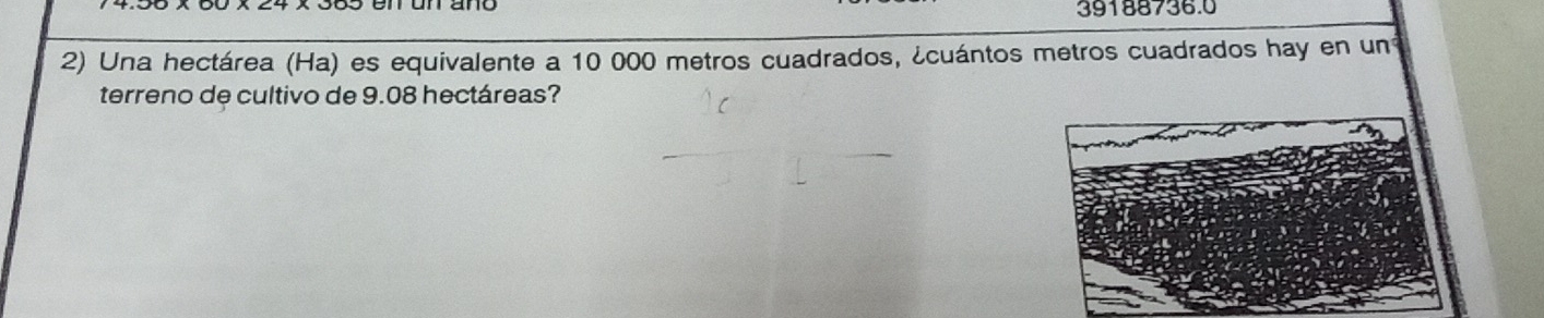 39188736.0 
2) Una hectárea (Ha) es equivalente a 10 000 metros cuadrados, ¿cuántos metros cuadrados hay en un 
terreno de cultivo de 9.08 hectáreas?