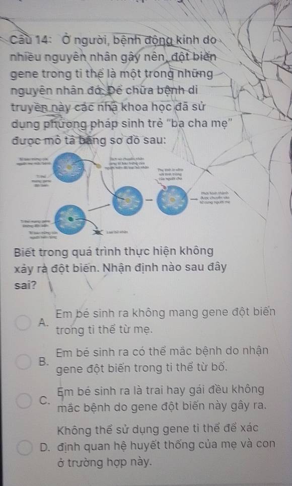 Cầu 14: Ở người, bệnh động kính do
nhiều nguyên nhân gây nên, đột biến
gene trong ti thể là một trong những
nguyên nhân đó. Để chữa bệnh di
truyền này các nhà khoa học đã sử
dụng phương pháp sinh trẻ “ba cha mẹ”
được mô tả bằng sơ đồ sau:
Biết trong quá trình thực hiện không
xảy rà đột biến. Nhận định nào sau đây
sai?
Em bé sinh ra không mang gene đột biến
A.
trong ti thể từ mẹ.
Em bé sinh ra có thể mắc bệnh do nhận
B.
gene đột biến trong ti thể từ bố.
Em bé sinh ra là trai hay gái đều không
C.
mắc bệnh do gene đột biến này gây ra.
Không thể sử dụng gene ti thể để xác
D. định quan hệ huyết thống của mẹ và con
ở trường hợp này.