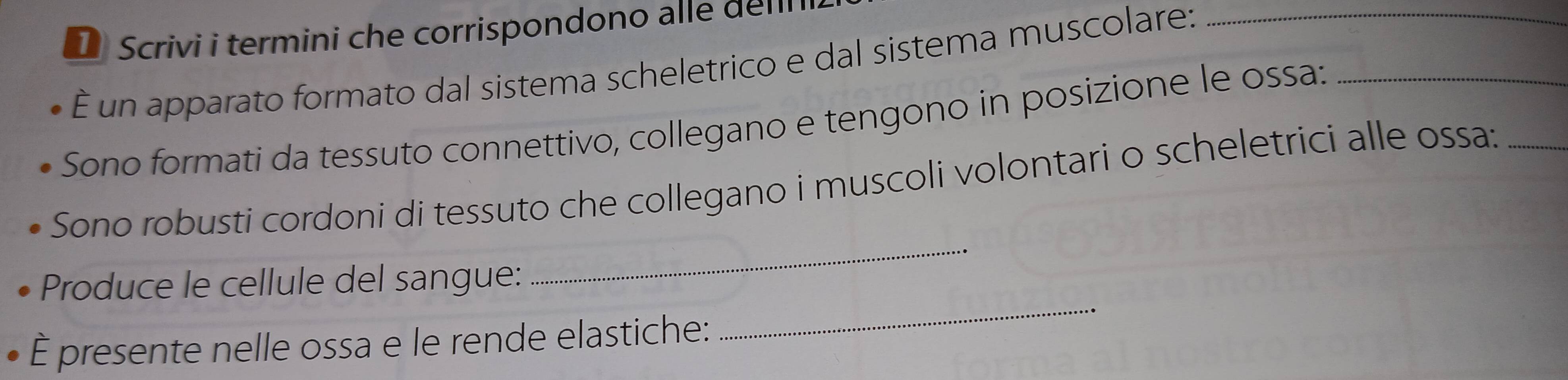 Scrivi i termini che corrispondono alle delli 
È un apparato formato dal sistema scheletrico e dal sistema muscolare:_ 
Sono formati da tessuto connettivo, collegano e tengono in posizione le ossa:_ 
_ 
Sono robusti cordoni di tessuto che collegano i muscoli volontari o scheletrici alle ossa:_ 
Produce le cellule del sangue: 
È presente nelle ossa e le rende elastiche: 
_