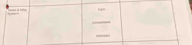 Taxes & Mita Gain 
System 
Consolidate 
Maintain