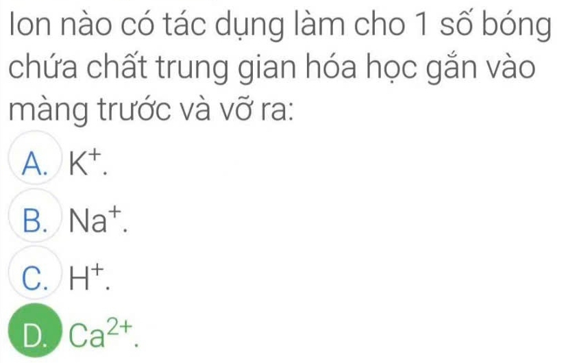 Ion nào có tác dụng làm cho 1 số bóng
chứa chất trung gian hóa học gắn vào
màng trước và vỡ ra:
A. K^+.
B. Na^+.
C. H^+.
D. Ca^(2+).