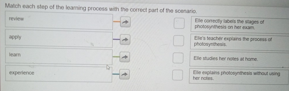 Match each step of the learning process with the correct part of the scenario.
review Elle correctly labels the stages of
photosynthesis on her exam.
apply
Elle's teacher explains the process of
photosynthesis.
learn Elle studies her notes at home.
Elle explains photosynthesis without using
experience her notes.