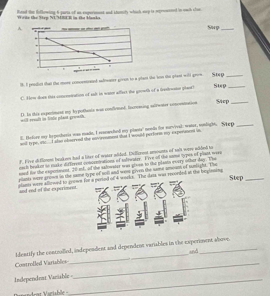 Read the following 6 parts of an experiment and identify which step is represented in each clue. 
Write the Step NUMBER in the blanks. 
Step_ 
A 
B. I predict that the more concentrated saftwater given to a plant the less the plant will grow. Step__ 
C. How does this concentration of salt in water affect the growth of a freshwater plant? Step 
D. In this experiment my hypothesis was confirmed. Increasing saltwater concentration Step_ 
will result in little plant growth. 
E Before my hypothesis was made, I researched my plants’ needs for survival: water, sunlight. Step_ 
soil type, etc...I also observed the environment that I would perform my experiment in 
F. Five different beakers had a liter of water added. Different amounts of salt were added to 
each beaker to make different concentrations of saltwater. Five of the same types of plant were 
used for the experiment. 20 mL of the saltwater was given to the plants every other day. The 
plants were grown in the same type of soil and were given the same amount of sunlight. The 
Step_ 
plants were allowed to grown f 4 weeks. The data was recorded at the beginning 
and end of the experiment. 
Identify the controlled, independent and dependent variables in the experiment above. 
and 
Controlled Variables-_ 
_ 
Independent Variable - 
nnent Variable