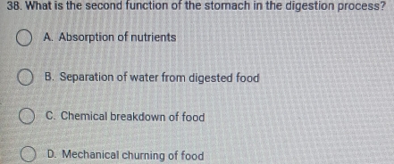 What is the second function of the stomach in the digestion process?
A. Absorption of nutrients
B. Separation of water from digested food
C. Chemical breakdown of food
D. Mechanical churning of food