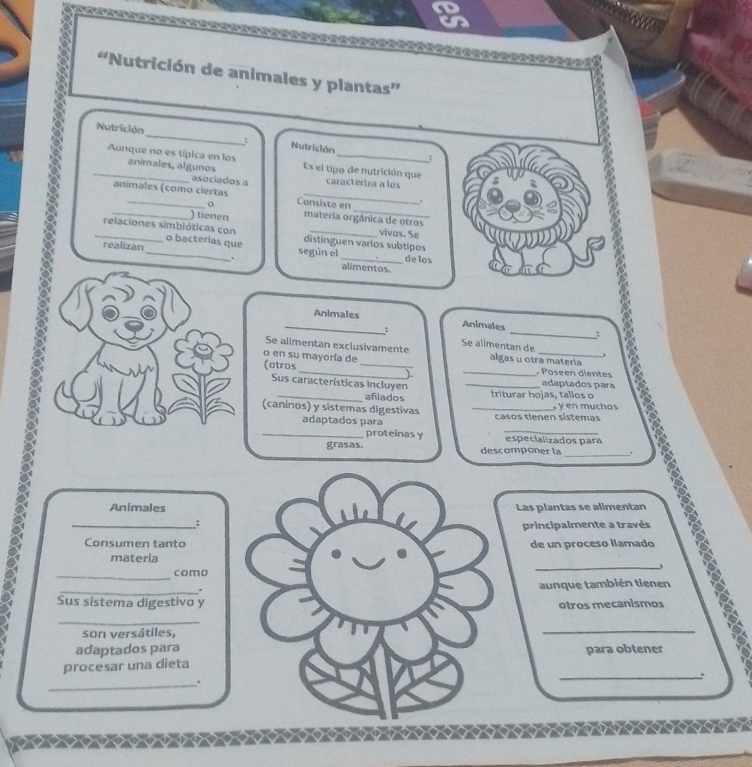 Nutrición de animales y plantas'' 
Nutrición _Nutrición 
: 
_Aunque no es típica en los Es el tipo de nutrición que 
anímales, algunos 
asociados a caracteriza a los 
animales (como ciertas Consiste en . 
o 
_) tienen 
_ 
_ 
materia orgánica de otros 
_relaciones simblóticas con o bacterias qu 
vivos. Se 
distinguen varlos subtipos 
realizan_ según el_ de los 
. alimentos. 
_Animales Animales _: 
: 
Se alimentan exclusivamente Se alimentan de 
o en su mayoría de 
algas u otra materia 
_(otros __). ___. Poseen dientes 18 
Sus características incluyen 
adaptados para 
afilados triturar hojas, tallos o 
(caninos) y sistemas digestivas _casos tienen sistemas , y en muchos 
adaptados para 
proteinas y especializados para 
grasas. descomponer la . 
Animales Las plantas se alimentan 
_: 
principalmente a través 
Consumen tantode un proçeso llamado 
materia 
_ 
como, 
_. 
aunque también tienen 
Sus sistema digestivo yotros mecanismos 
_ 
son versátiles, 
_ 
adaptados parapara obtener 
procesar una dieta 
_, 
_.