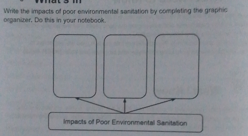 Write the impacts of poor environmental sanitation by completing the graphic 
organizer. Do this in your notebook. 
Impacts of Poor Environmental Sanitation