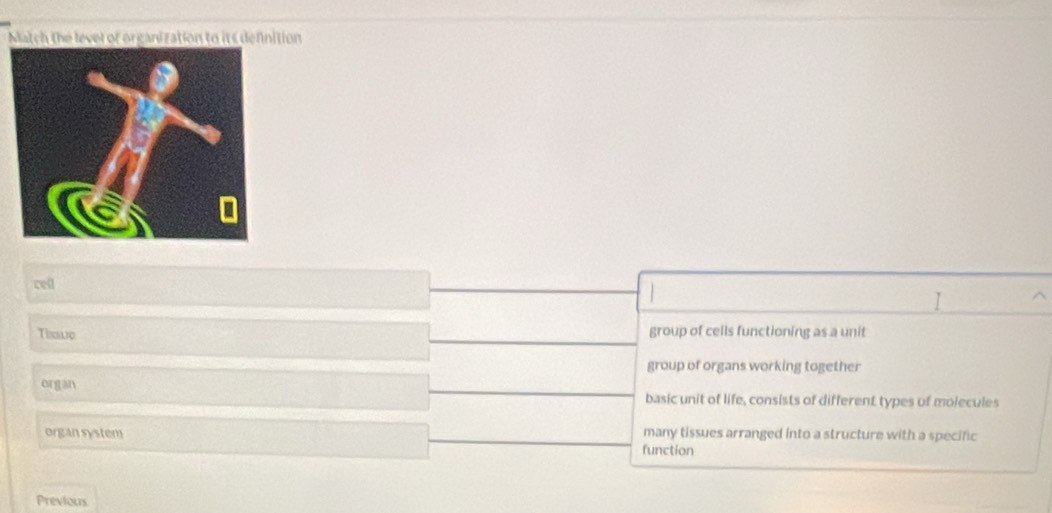 Match the lever of organization to its definition
cell
Tinslo group of cells functioning as a unit
group of organs working together
organ basic unit of life, consists of different types of molecules
organ system many tissues arranged into a structure with a specific
function
Previous