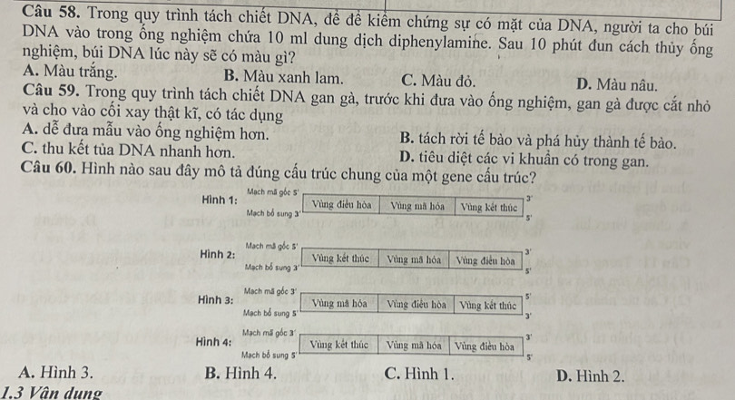 Trong quy trình tách chiết DNA, đề đề kiểm chứng sự có mặt của DNA, người ta cho búi
DNA vào trong ổng nghiệm chứa 10 ml dung dịch diphenylamine. Sau 10 phút đun cách thủy ồng
nghiệm, búi DNA lúc này sẽ có màu gì?
A. Màu trắng. B. Màu xanh lam. C. Màu đỏ. D. Màu nâu.
Câu 59. Trong quy trình tách chiết DNA gan gà, trước khi đưa vào ống nghiệm, gan gà được cắt nhỏ
và cho vào cối xay thật kĩ, có tác dụng
A. dễ đưa mẫu vào ống nghiệm hơn. B. tách rời tế bào và phá hủy thành tế bào.
C. thu kết tủa DNA nhanh hơn. D. tiêu diệt các vi khuẩn có trong gan.
Câu 60. Hình nào sau đây mô tả đúng cầu trúc chung của một gene cầu trúc?
Hình 1: Mạch mã gốc S'
1 3°
Mạch bổ sung 3' Vùng điều hòa Vùng mã hóa Vùng kết thúc
5'
Hình 2: Mach mã gốc 5'
Vùng kết thúc
3'
Mạch bổ sung 3' Vùng mã hòa Vùng điễu hòa
5'
Hình 3: Mach mã gốc 3
5'
Vùng mã hóa
Mạch bổ sung S' Vùng điều hòa Vùng kết thúc
Mạch mã gốc 3
3'
Hình 4: Vùng kết thúc Vùng mã hóa Vùng điều hòa
Mach bổ sung S''
5°
A. Hình 3. B. Hình 4. C. Hình 1. D. Hình 2.
1.3 Vân dung