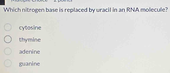 Which nitrogen base is replaced by uracil in an RNA molecule?
cytosine
thymine
adenine
guanine