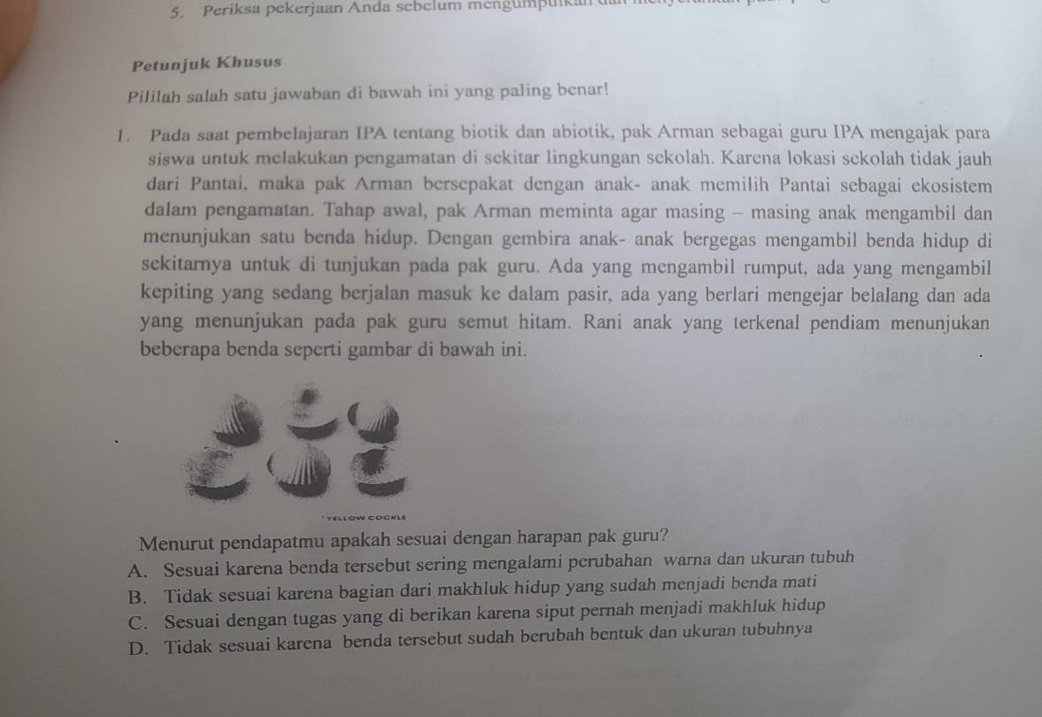 Periksa pekerjaan Anda sebelum mengumpukan
Petunjuk Khusus
Pililah salah satu jawaban di bawah ini yang paling benar!
1. Pada saat pembelajaran IPA tentang biotik dan abiotik, pak Arman sebagai guru IPA mengajak para
siswa untuk melakukan pengamatan di sekitar lingkungan sekolah. Karena lokasi sekolah tidak jauh
dari Pantai, maka pak Arman bersepakat dengan anak- anak memilih Pantai sebagai ekosistem
dalam pengamatan. Tahap awal, pak Arman meminta agar masing - masing anak mengambil dan
menunjukan satu benda hidup. Dengan gembira anak- anak bergegas mengambil benda hidup di
sekitarnya untuk di tunjukan pada pak guru. Ada yang mengambil rumput, ada yang mengambil
kepiting yang sedang berjalan masuk ke dalam pasir, ada yang berlari mengejar belalang dan ada
yang menunjukan pada pak guru semut hitam. Rani anak yang terkenal pendiam menunjukan
beberapa benda seperti gambar di bawah ini.
Menurut pendapatmu apakah sesuai dengan harapan pak guru?
A. Sesuai karena benda tersebut sering mengalami perubahan warna dan ukuran tubuh
B. Tidak sesuai karena bagian dari makhluk hidup yang sudah menjadi benda mati
C. Sesuai dengan tugas yang di berikan karena siput pernah menjadi makhluk hidup
D. Tidak sesuai karena benda tersebut sudah berubah bentuk dan ukuran tubuhnya