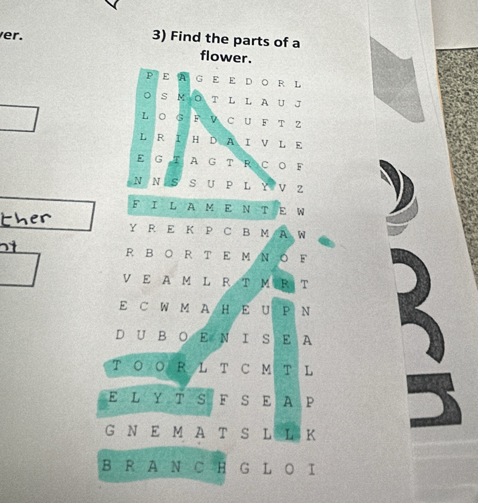 er. 
3) Find the parts of a 
flower. 
p E A G E E D OR L 
S M OT L L A U J 
L O G F V C U F T Z 
L RIH DAIV L E 
E G T A G T R C O F 
N N S S U P L Y V Z 
F IL A M E NT E W 
Y R E K P C B M A W 
R BO R T E M N O F 
V E A M L R T M R T 
E C W M A H E U P N 
D U B OE NI SE A 
T O O R L T C M T L 
E L Y T S F S E A P 
G N E M A T S L L K 
B R A N C H G L O I