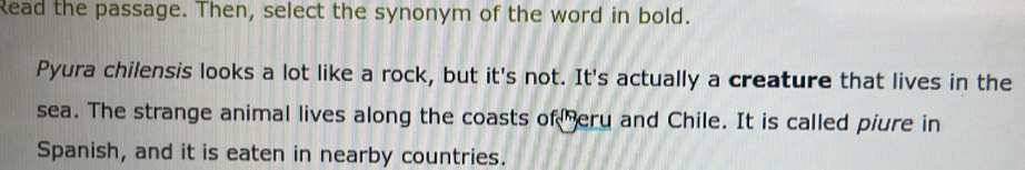 Read the passage. Then, select the synonym of the word in bold. 
Pyura chilensis looks a lot like a rock, but it's not. It's actually a creature that lives in the 
sea. The strange animal lives along the coasts of heru and Chile. It is called piure in 
Spanish, and it is eaten in nearby countries.